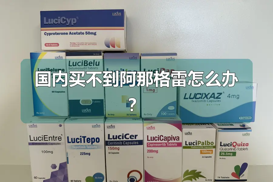 国内买不到阿那格雷怎么办？